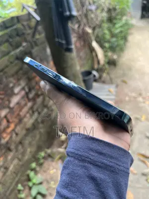 অ্যাপল আইফোন ১২ প্রো ম্যাক্স ২৫৬ জিবি নীল