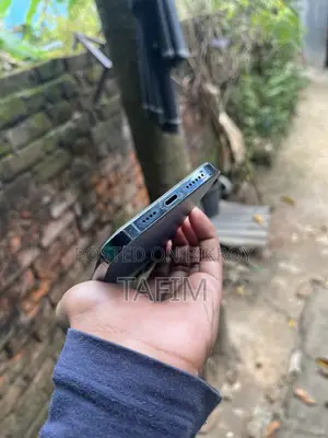 অ্যাপল আইফোন ১২ প্রো ম্যাক্স ২৫৬ জিবি নীল