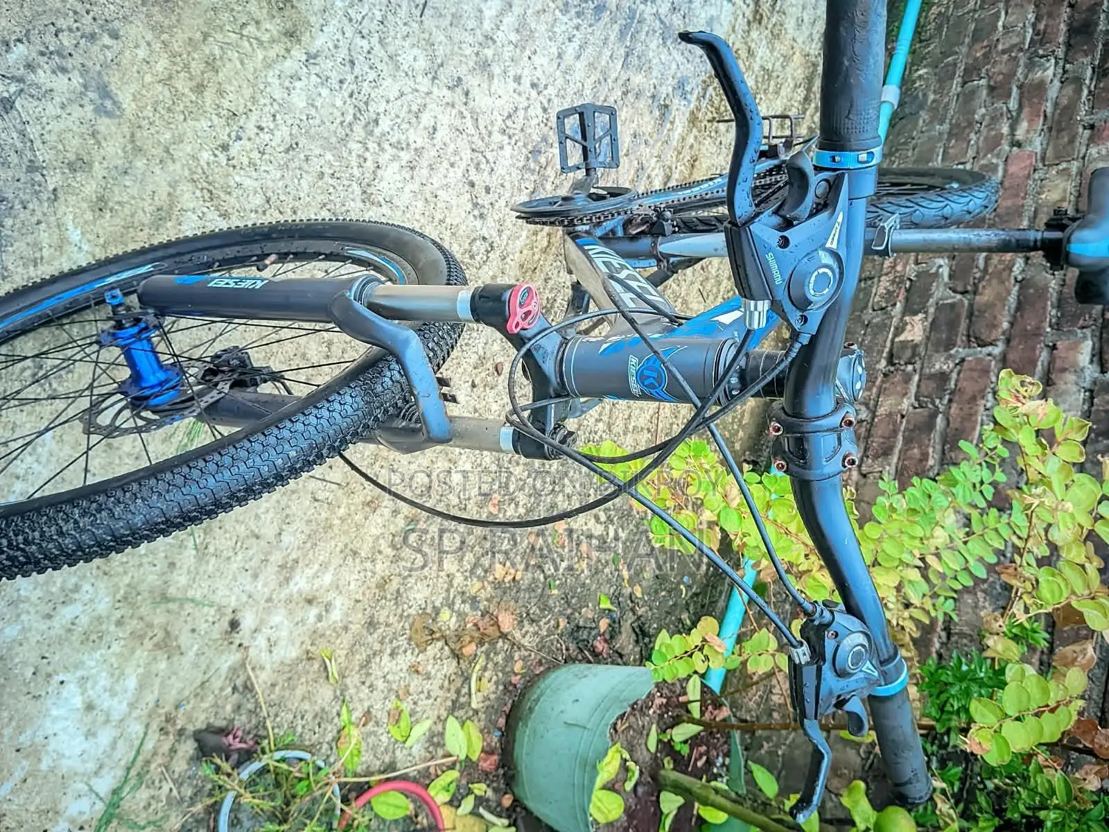 KIESEL Mountain Bike - 21 Speed