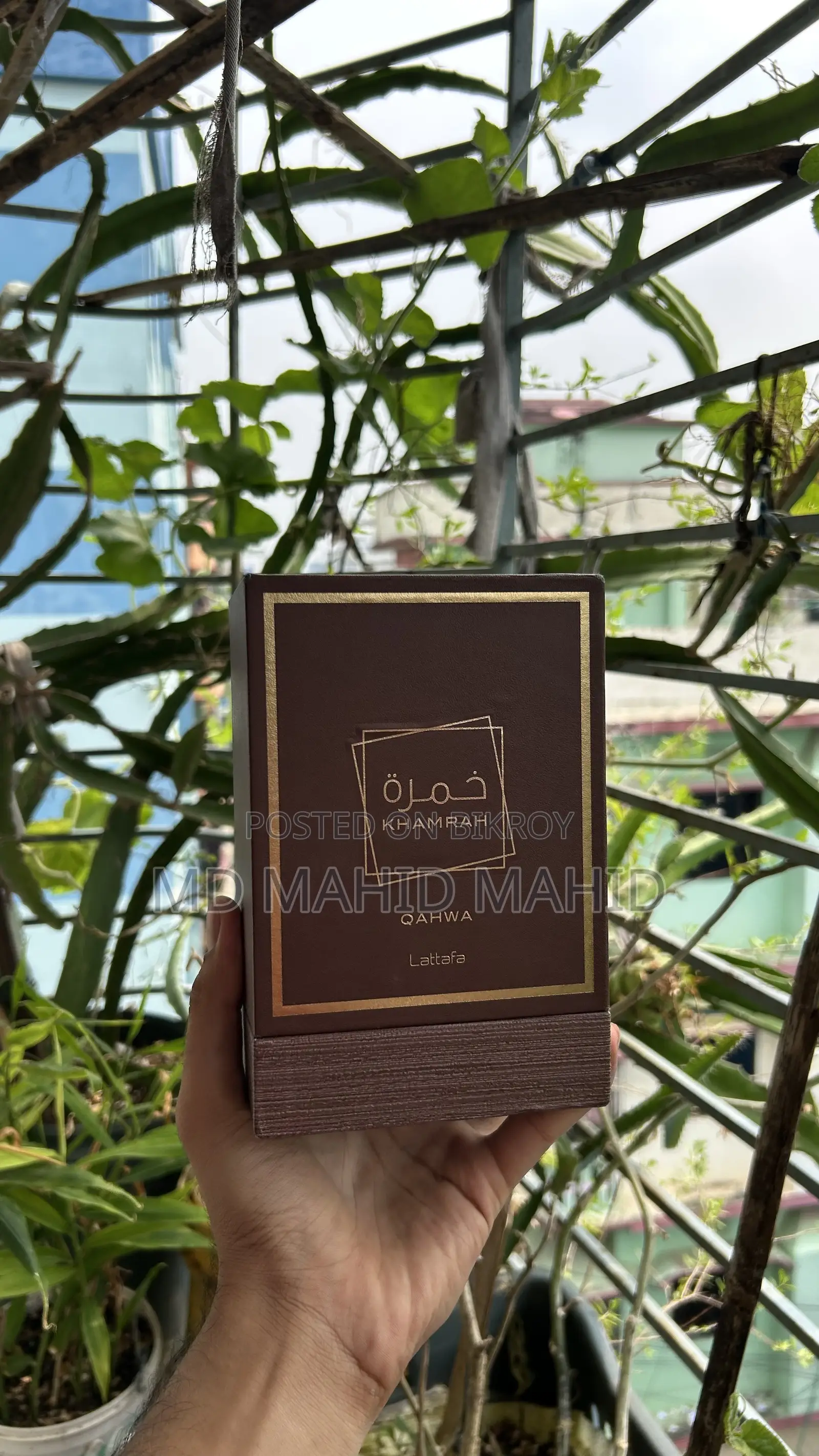 লাটাফা খামরা কাহওয়া