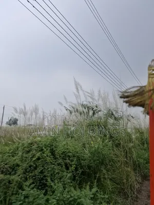 Aftabnagar Block M Sector 3 Road 9 Ten Katha Corner Plot for Sale