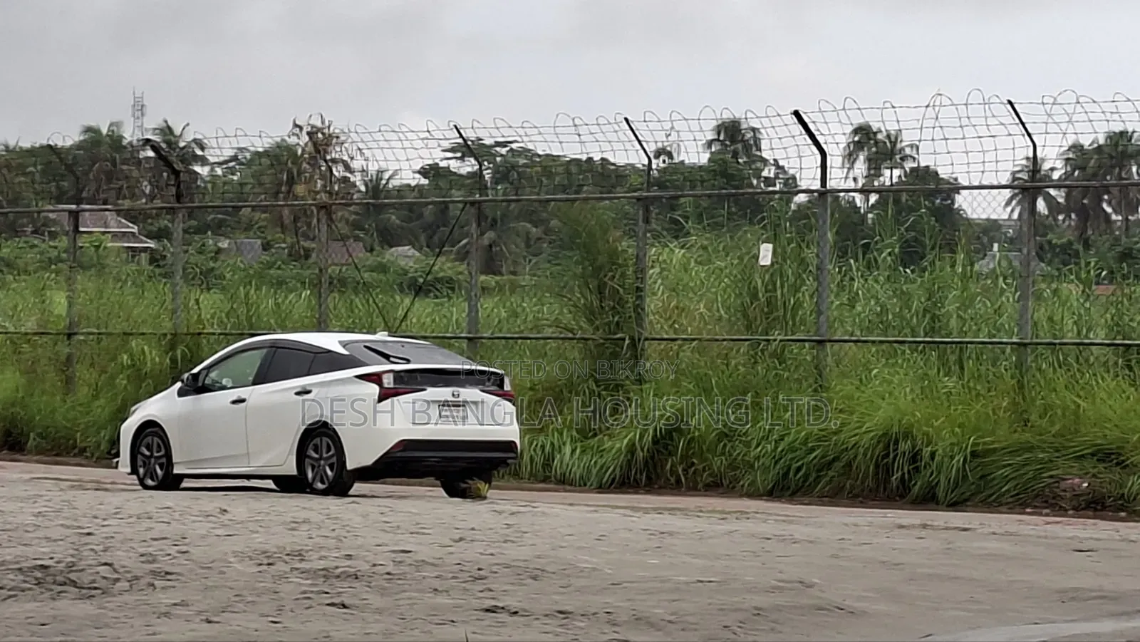 New Toyota Prius 2020 Pearl