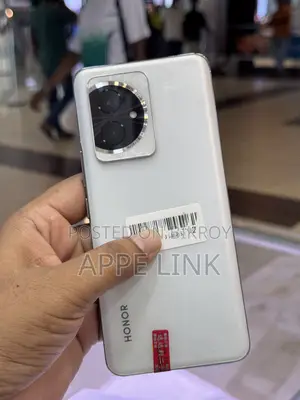 Honor 100 256 GB Silver