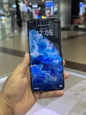 Honor 100 256 GB Silver