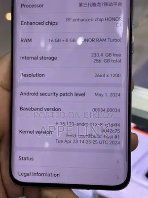 Honor 100 256 GB Silver