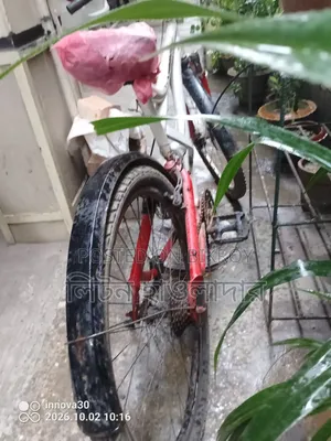 Urgent Bicycle Sale