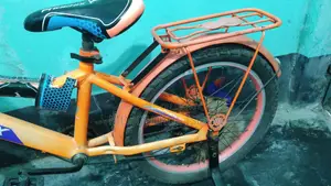 Children's Bicycle
