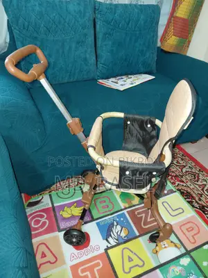 Multinational Baby Stroller