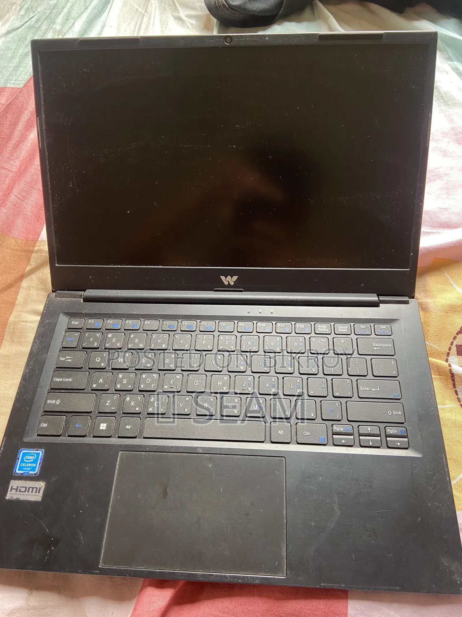 Laptop HP 15 8GB Intel Celeron SSD 256GB