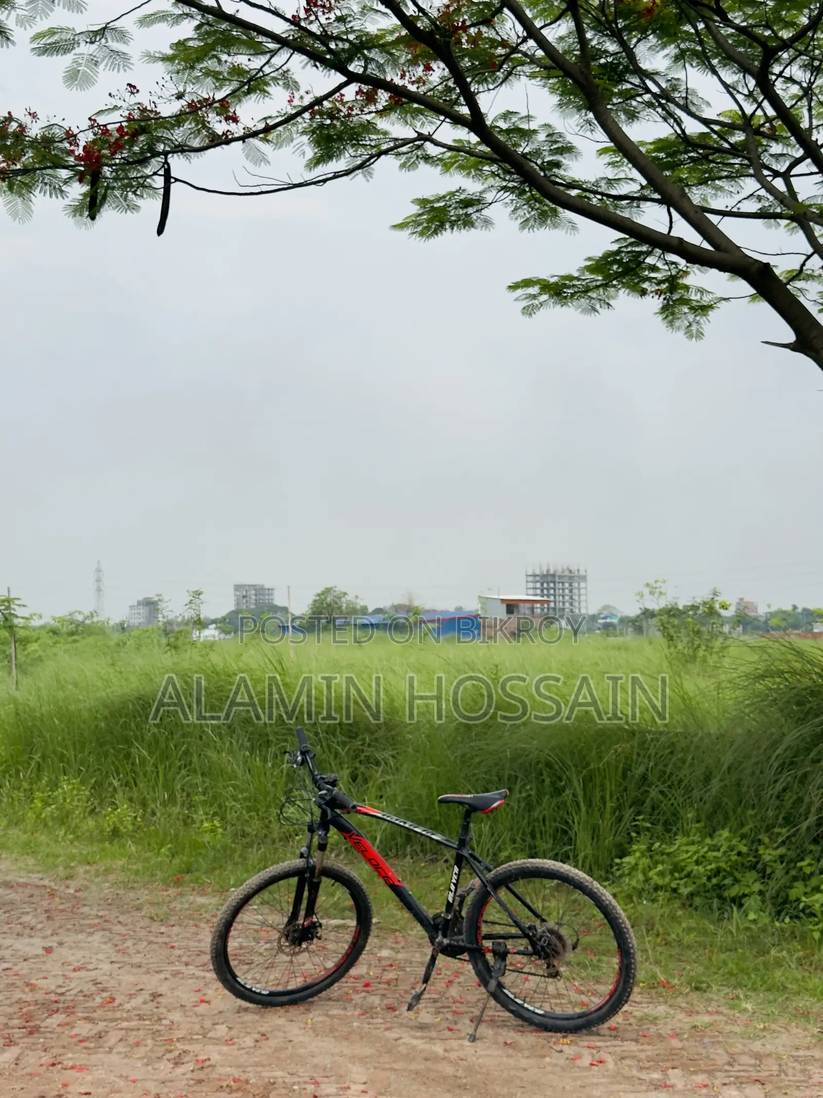 ভেলোস স্লেয়ার ১.০ সাইকেল বিক্রয়