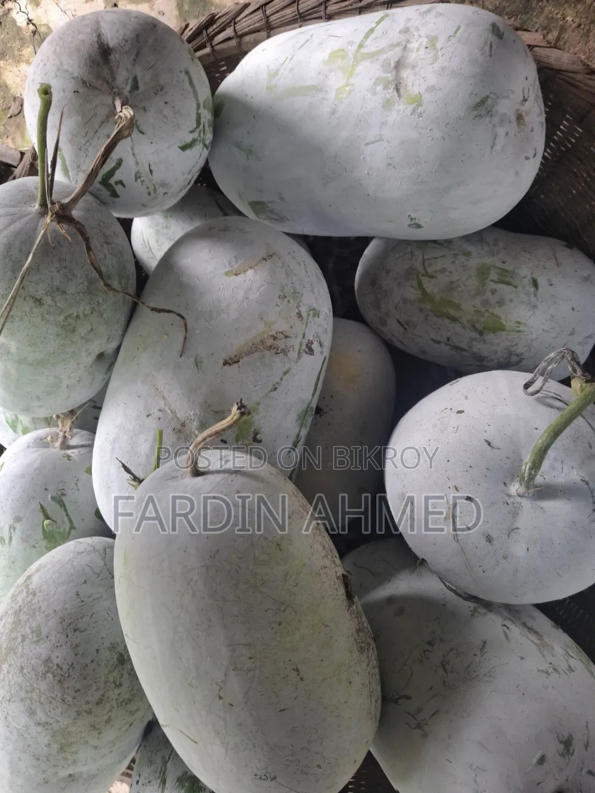 Pumpkin for making vori (stuffing) [Small, medium, large] 3 sizes available