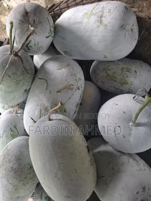 Pumpkin for making vori (stuffing) [Small, medium, large] 3 sizes available
