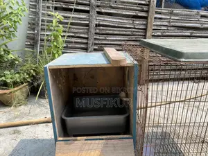 ককটেল ২৪/১৮ ব্রিডিং বক্সসহ পাখির খাঁচা