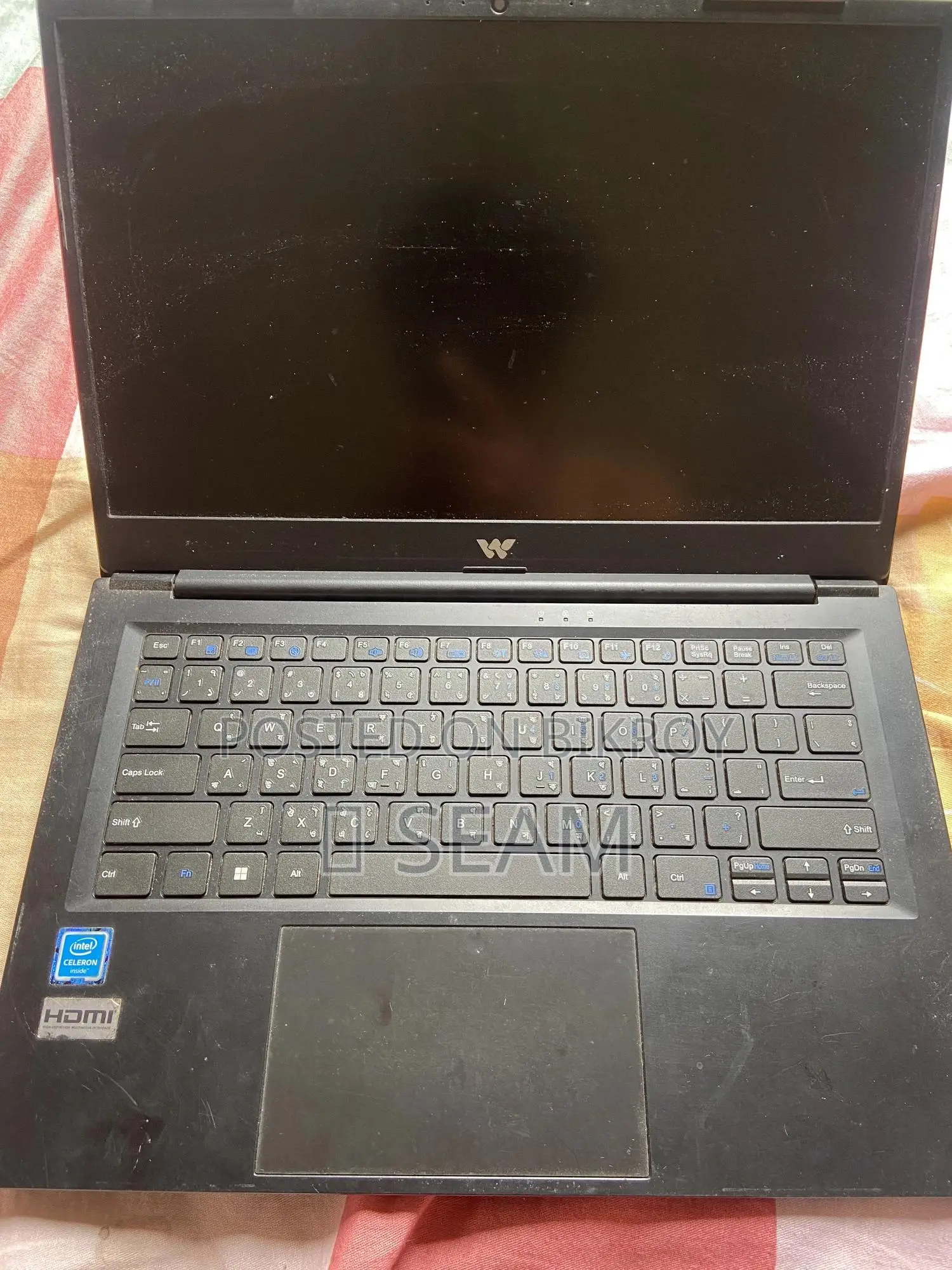 Laptop HP 15 8GB Intel Celeron SSD 256GB