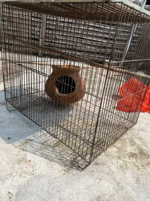 ১৮/১২ বার্ডস কেজ গুড কন্ডিশন