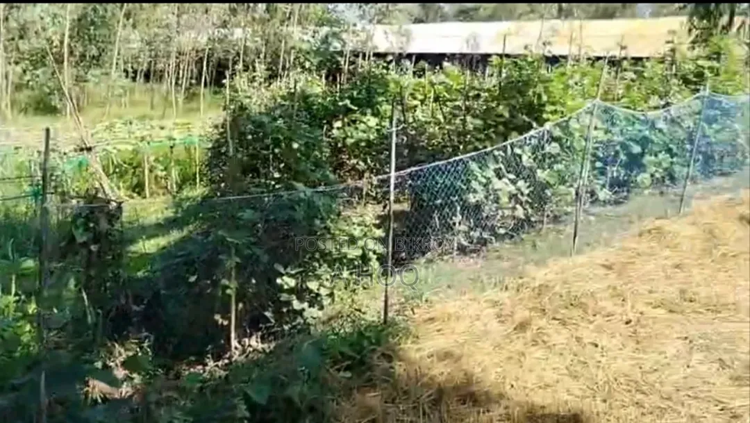 Land for Sale in Sitakunda