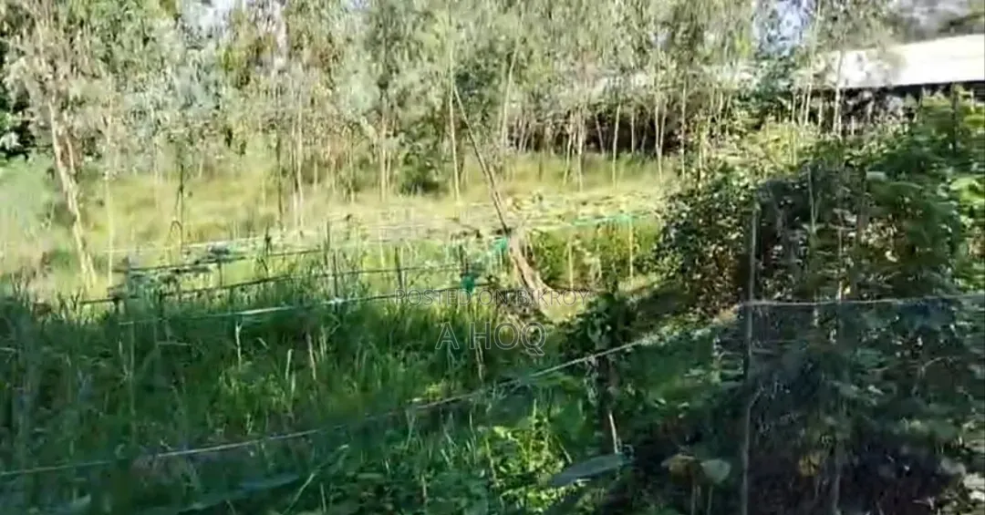 Land for Sale in Sitakunda