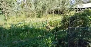 Land for Sale in Sitakunda