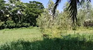 Land for Sale in Sitakunda