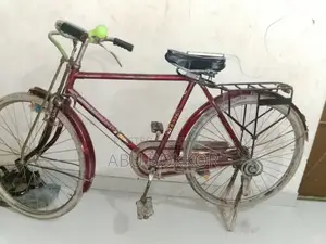 Will sell bicycle