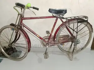 Will sell bicycle