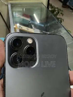 অ্যাপল আইফোন ১২ প্রো ম্যাক্স ১২৮ জিবি গ্রে