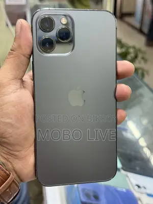 অ্যাপল আইফোন ১২ প্রো ম্যাক্স ১২৮ জিবি গ্রে