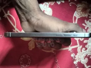 Apple iPhone 15 Pro Max 256 GB Silver