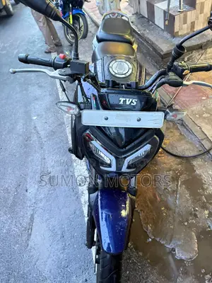 টিভিএস রাইডার ১২৫ ২০২৫ বেগুনি