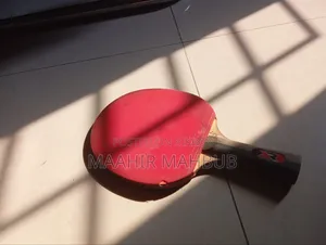 Original Butterfly Table Tennis Bat for Sale