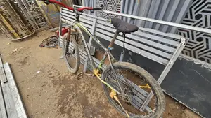 ফিনিক্স সাইকেল