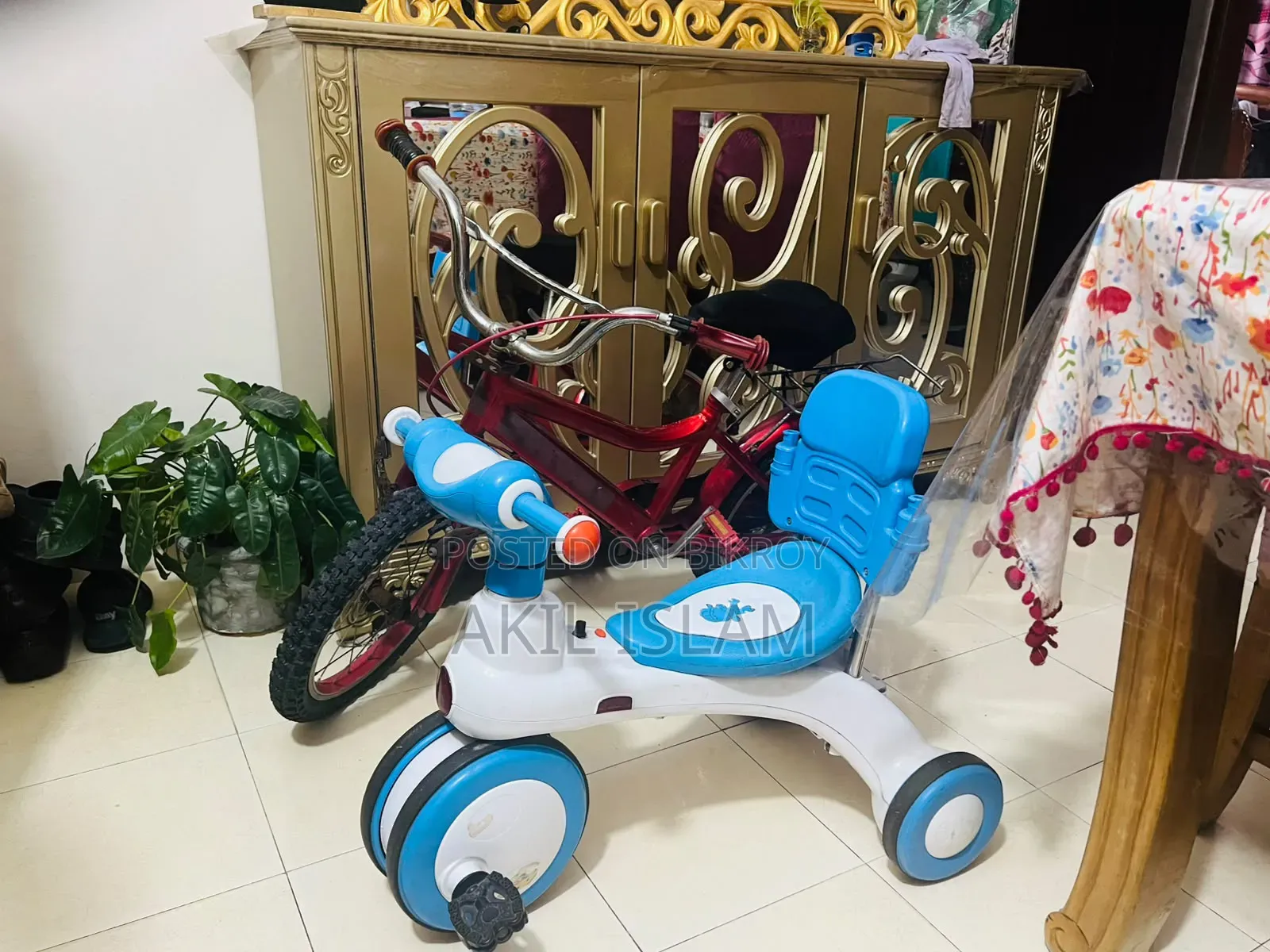 1 Jim & Jolly Rock Rider Tricycle With Backrest 3Y Pink