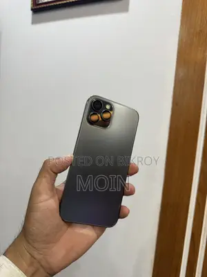 অ্যাপল আইফোন ১২ প্রো ম্যাক্স ২৫৬ জিবি গ্রে