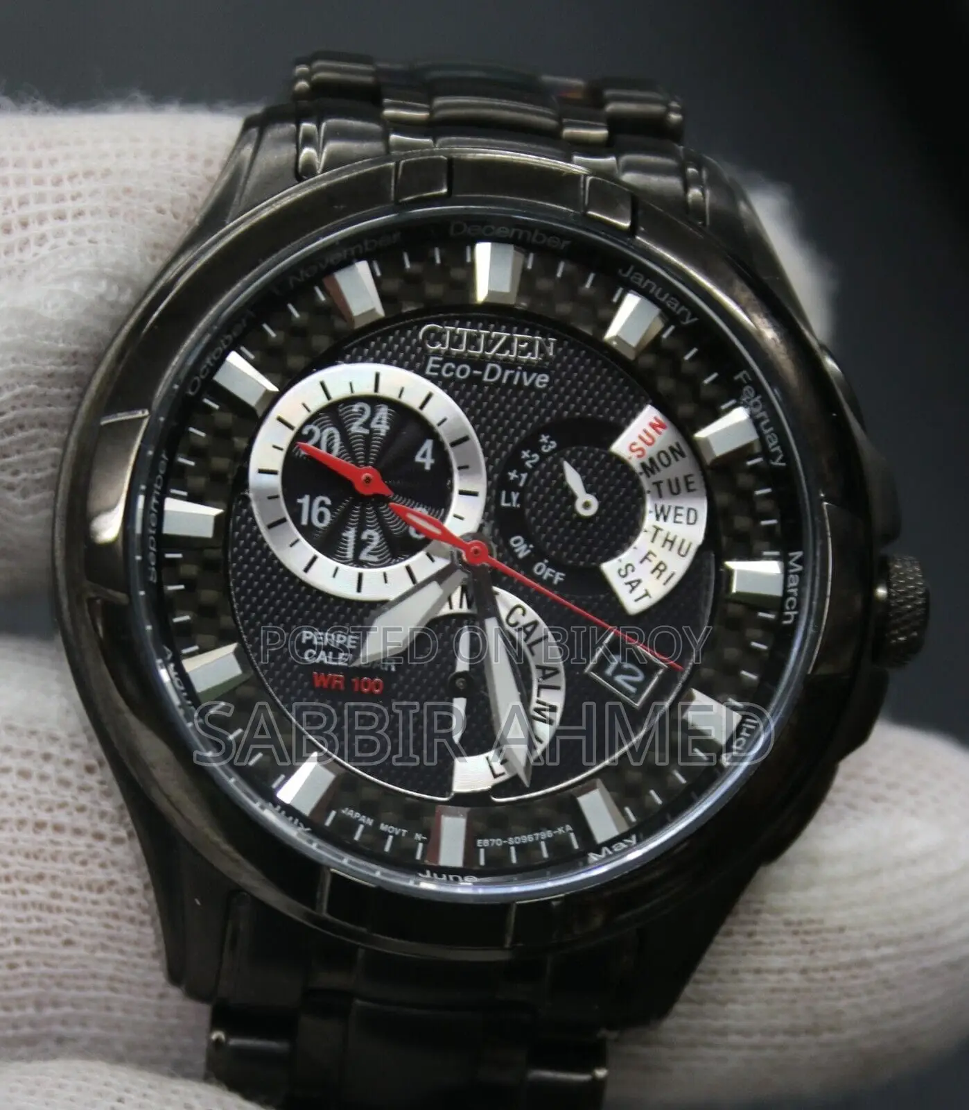 Citizen Eco-Drive Calibre 8700 / E870 Perpetual Calendar