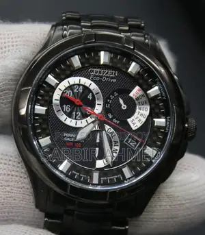 Citizen Eco-Drive Calibre 8700 / E870 Perpetual Calendar