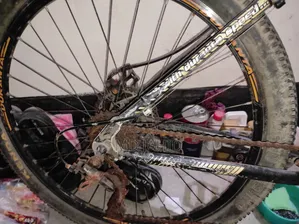 আমি ঠিক করে রেখেছি, কোনো সমস্যা নাই।