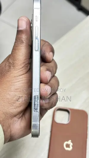 Apple iPhone 12 Pro 512 GB Silver