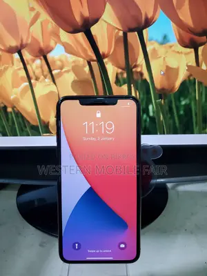 Apple iPhone 11 Pro Max 256 GB Black