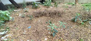 নিকুঞ্জ-১ এ ৩ কাঠা জমি বিক্রয়ের জন্য