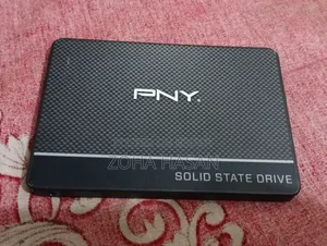 পিএনওয়াই ১২০জিবি সাটা সিএস৯০০ এসএসডি