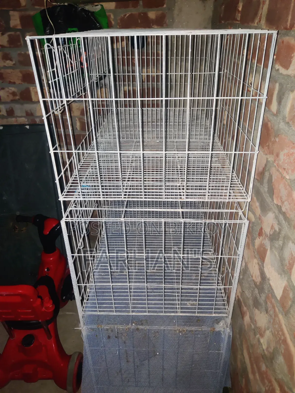 নতুন খাঁচা বিক্রি হবে
