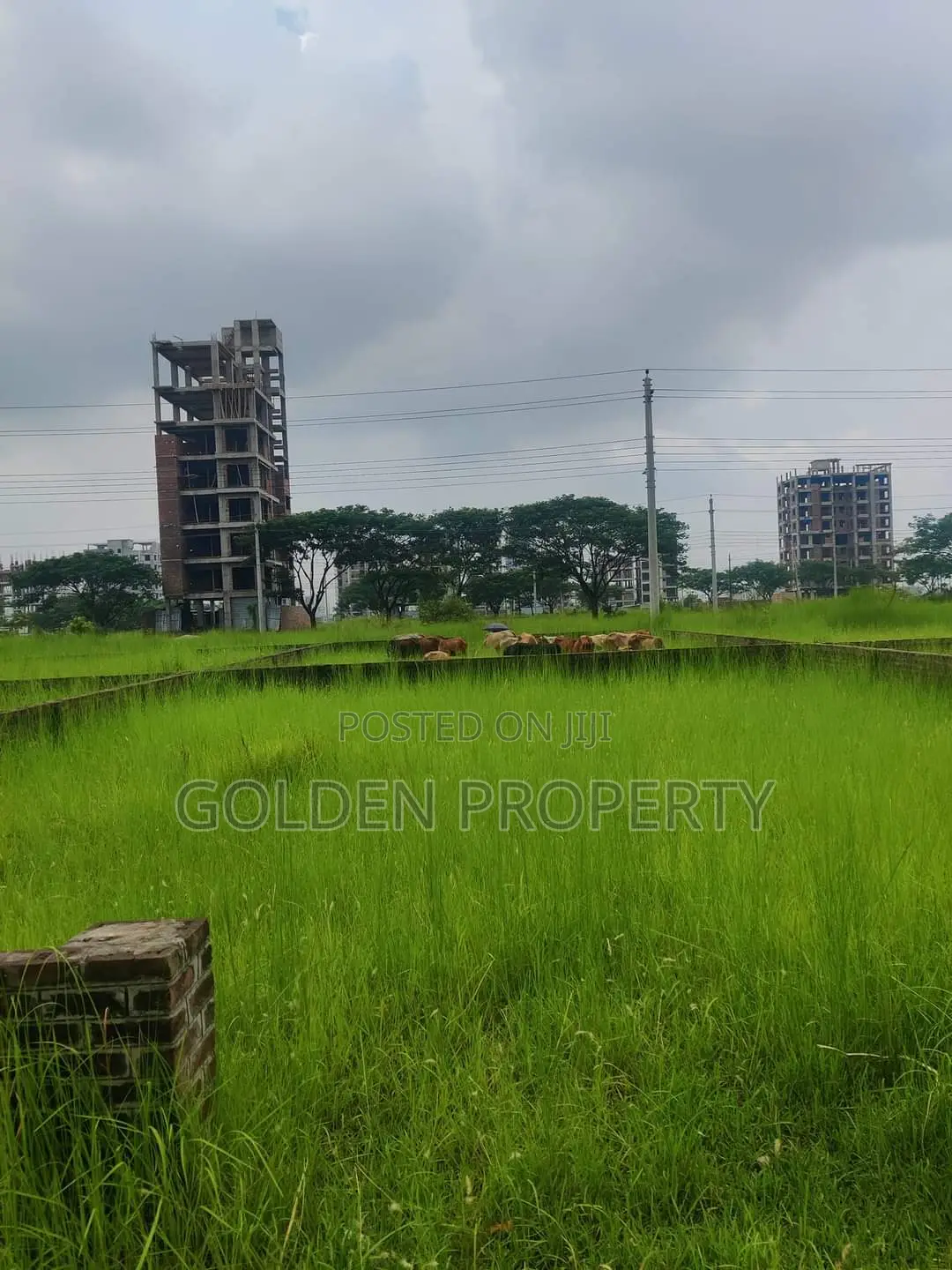 Residential Plot Sale M Block 3 Katha Bashundhara Baridhara