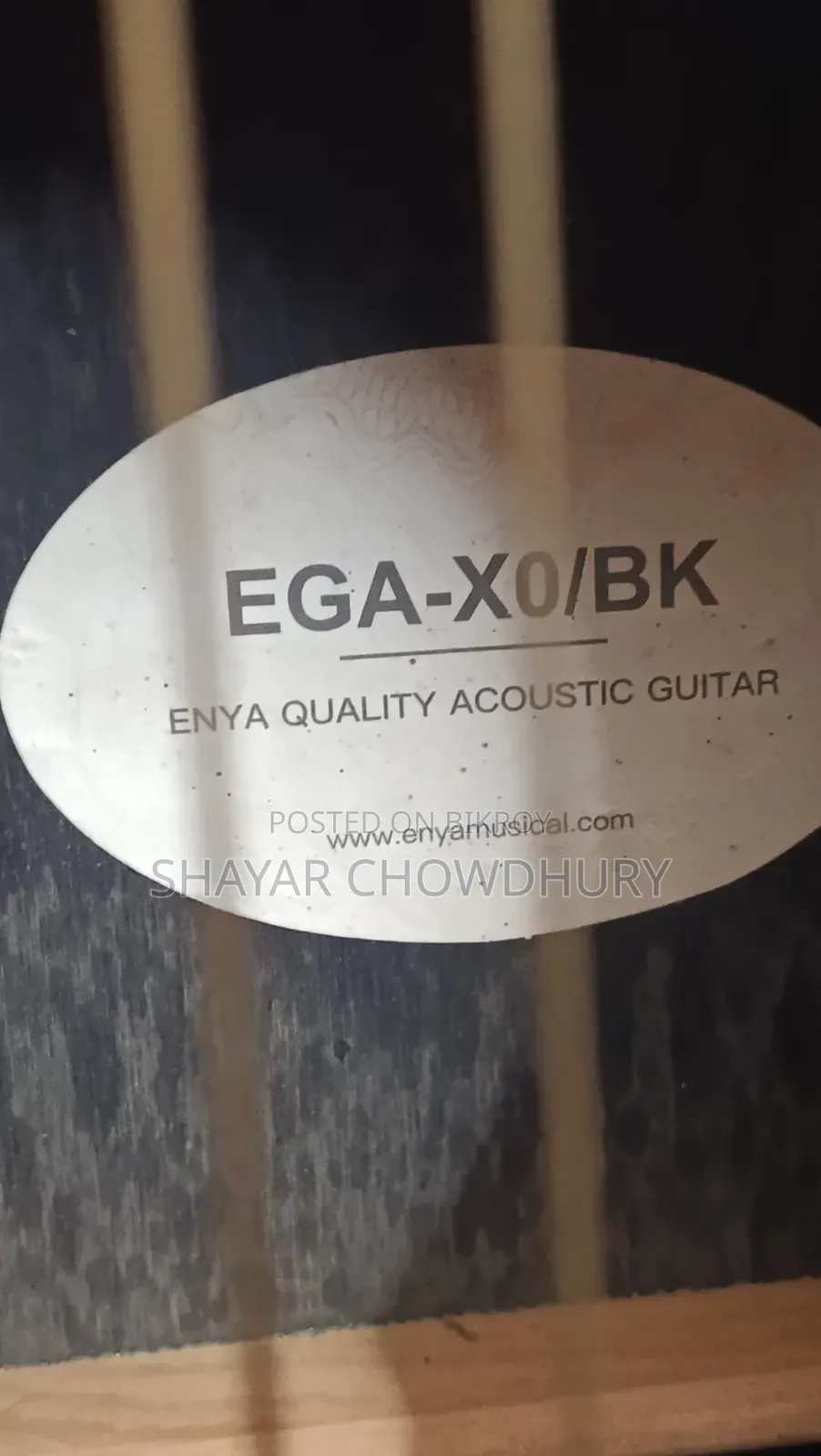 Acoustic Guitar