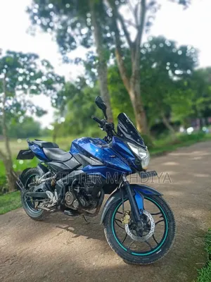 বাজাজ পালসার ১৫০ ২০১৯ নীল