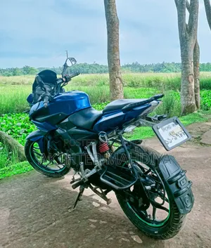 বাজাজ পালসার ১৫০ ২০১৯ নীল