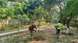 বাগান / জমি / প্লট বিক্রির জন্য