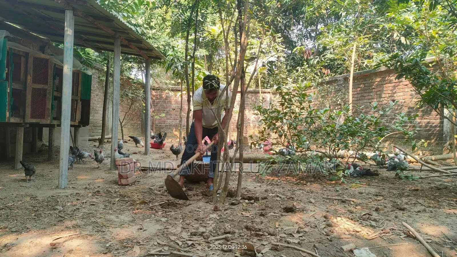 বাগান / জমি / প্লট বিক্রির জন্য