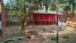 বাগান / জমি / প্লট বিক্রির জন্য