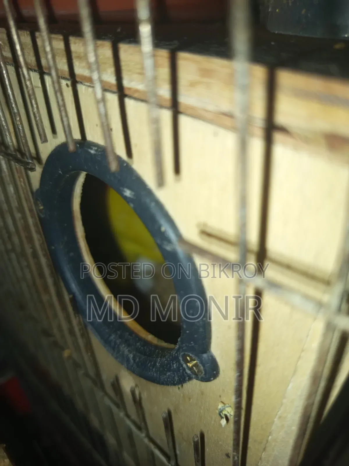 এক জোড়া লাভবার্ডস পাখি ডিম সহ বিক্রি করা হবে