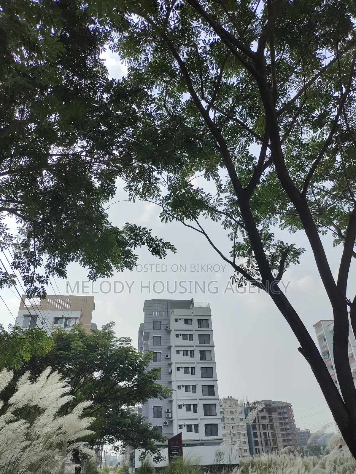 3 Bedroom Apartment in Bashundhara for sale